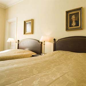2 person junior suite with king bed, and private facilities (bath and shower)